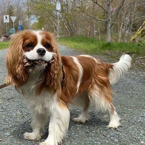 Meet your Posher, Gerriann